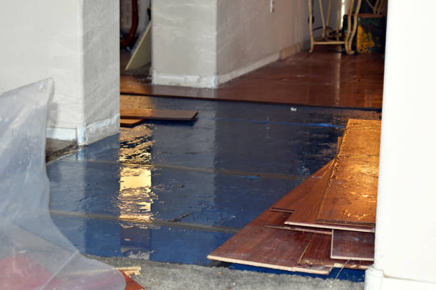 Professional Flood Damage Restoration technician working in Webster, TX